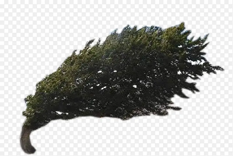 ���紵�����-������