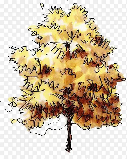 ��ɫ����-������