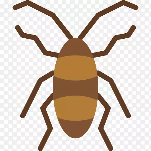 �绰�е��������������-������