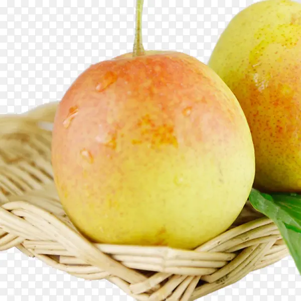 ������ĺ�����-������