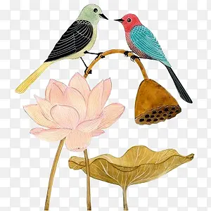 �ֻ���ź-������