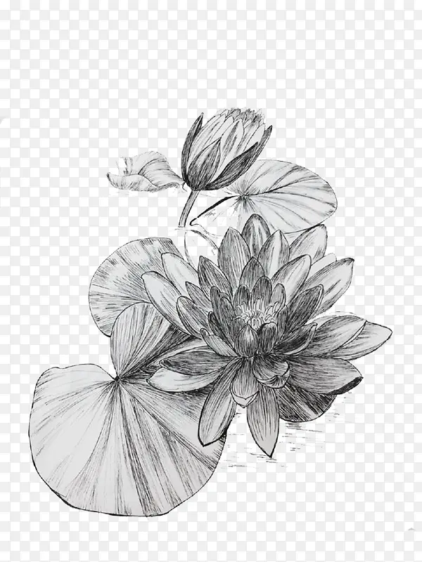 �ڰ״���廭�ɻ�-������