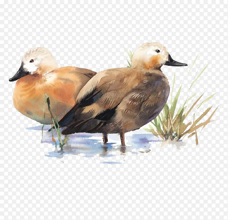 �ں����ԧ��-������