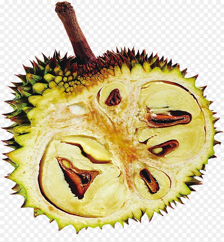 ˮ�����ط�ζ����-������