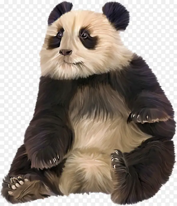 �ɰ��Ĵ���è-������