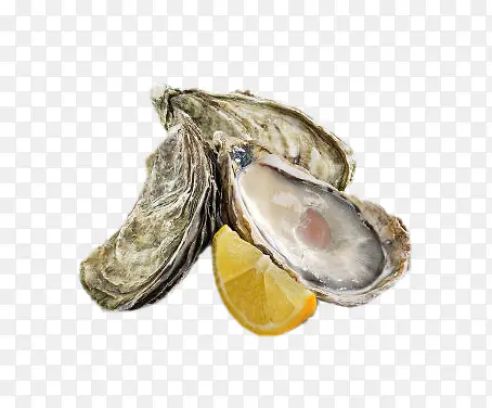 �������ʻ���-������