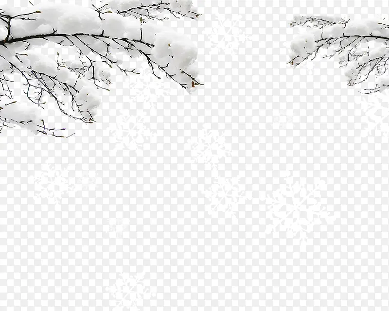 ����ѩ����֦ѩ��-������