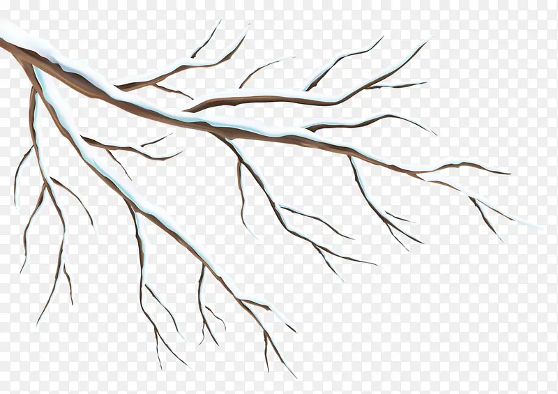 ����Ŀ���֦-������