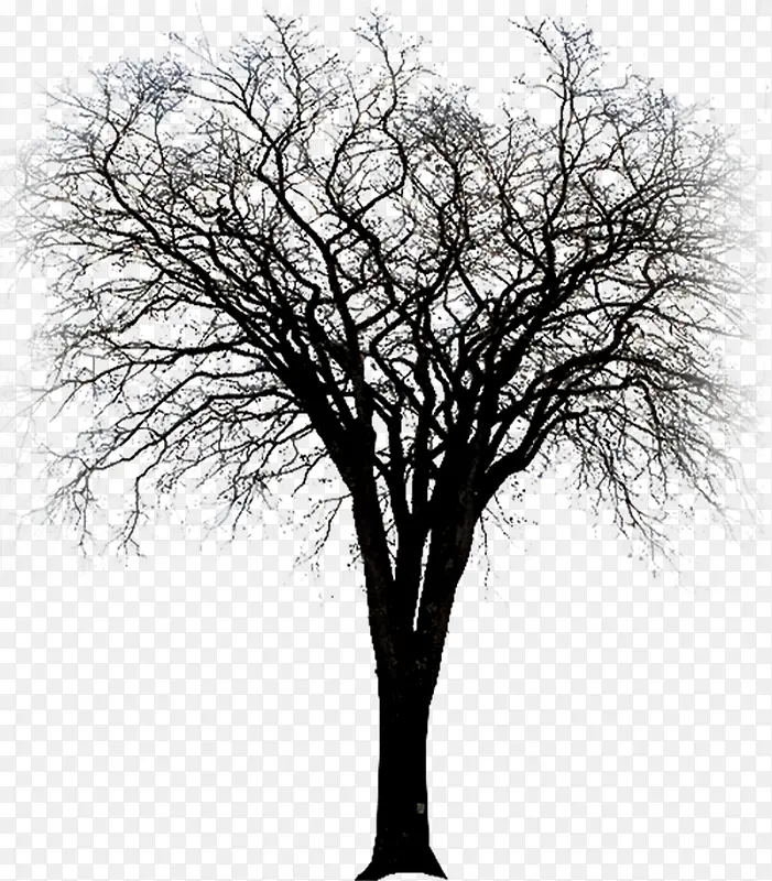 ��֦�������꼪���ز�-������