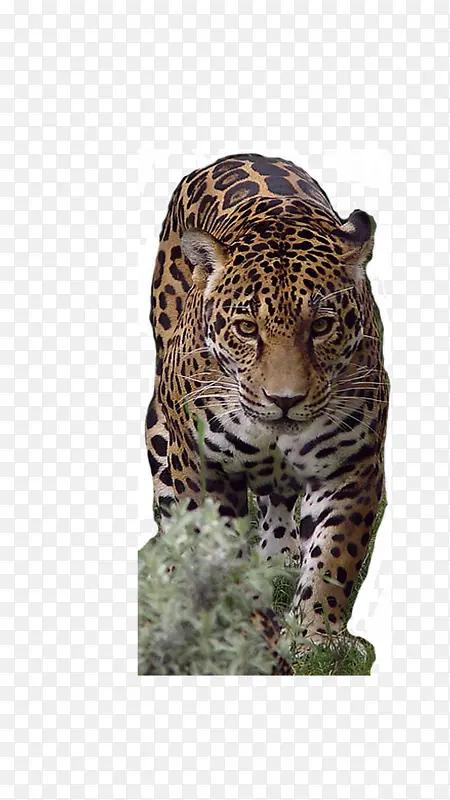 ���ްߵ㱪-������