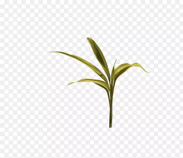 ֲ�ﾥҶ����-������