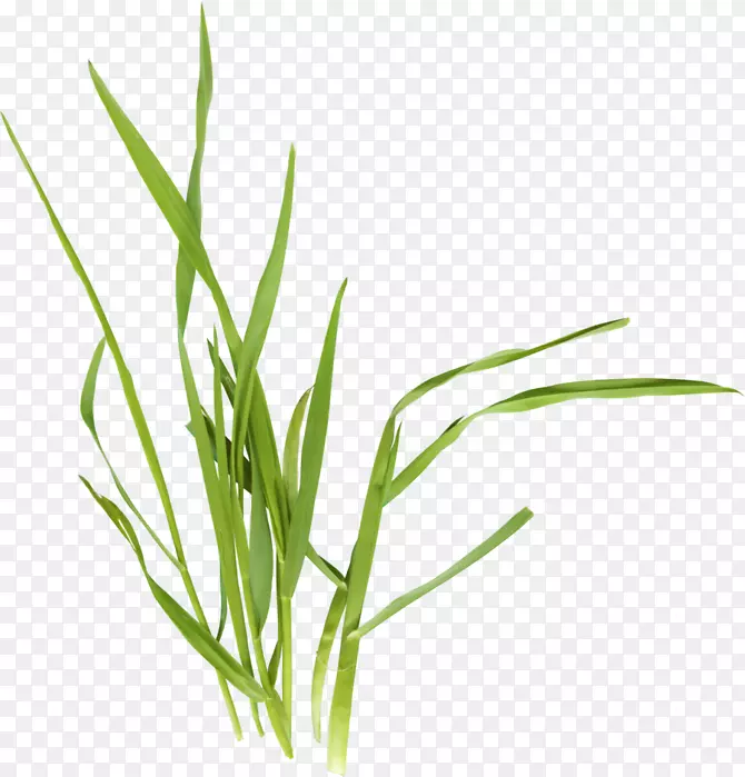 ����������-������