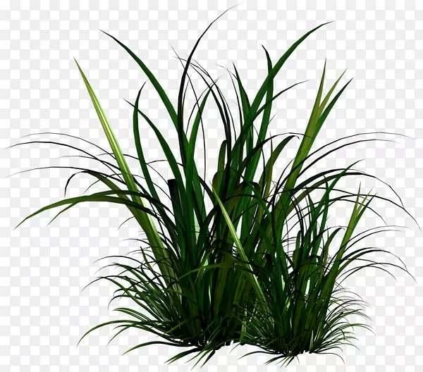 ֲ�������ֽ������-������