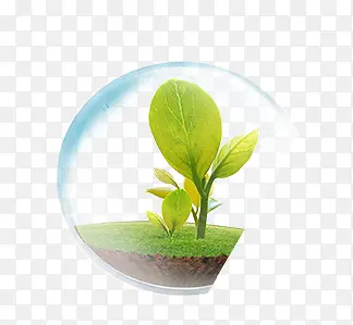 ����С����-������