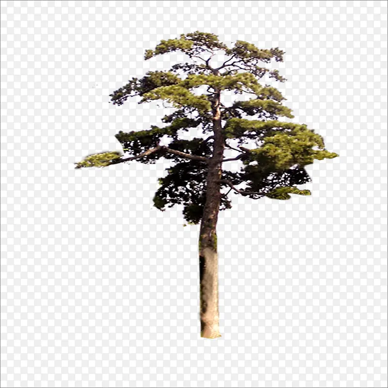 ����-������