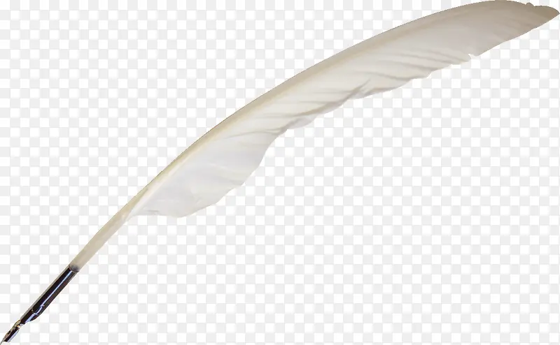 ��ɫ��ë��-������