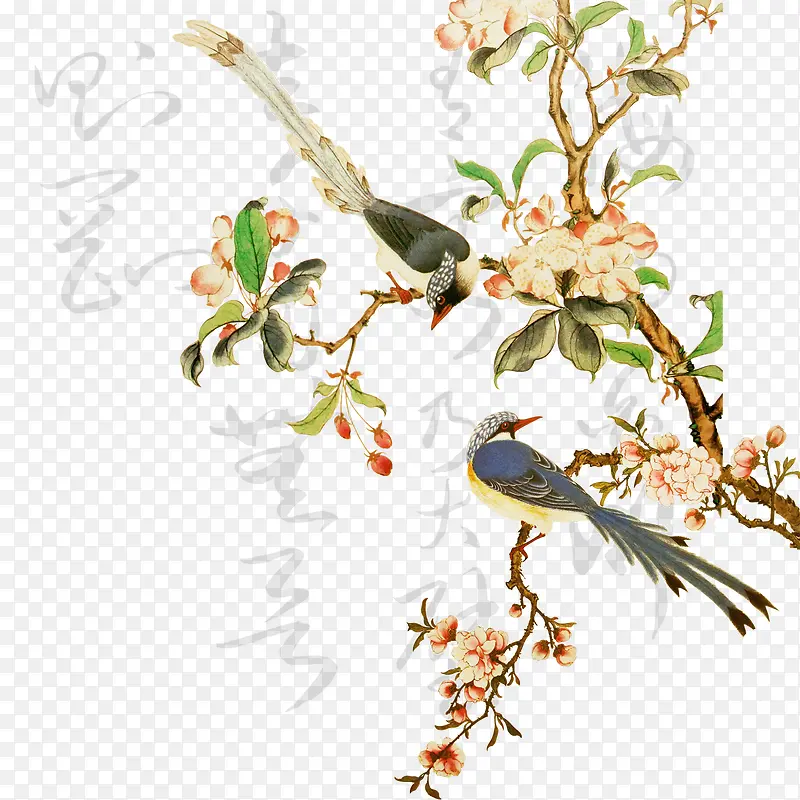 ϲ��֦ͷ-������