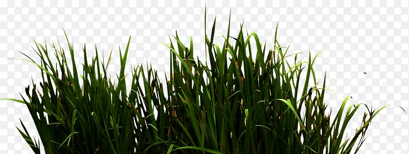 �ӱߵ�С��-������