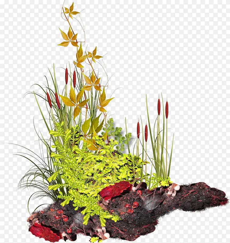 �ӱ�С��ֲ��װ��ͼ��-������