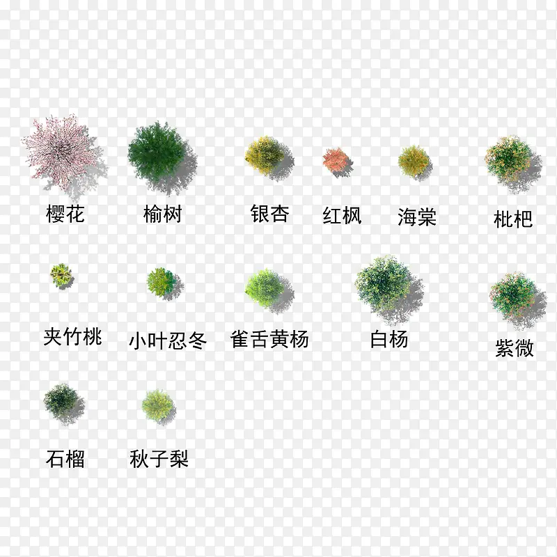 ïʢ����ľ����-������