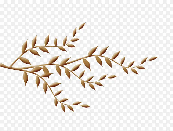 ����Ҷ��-������