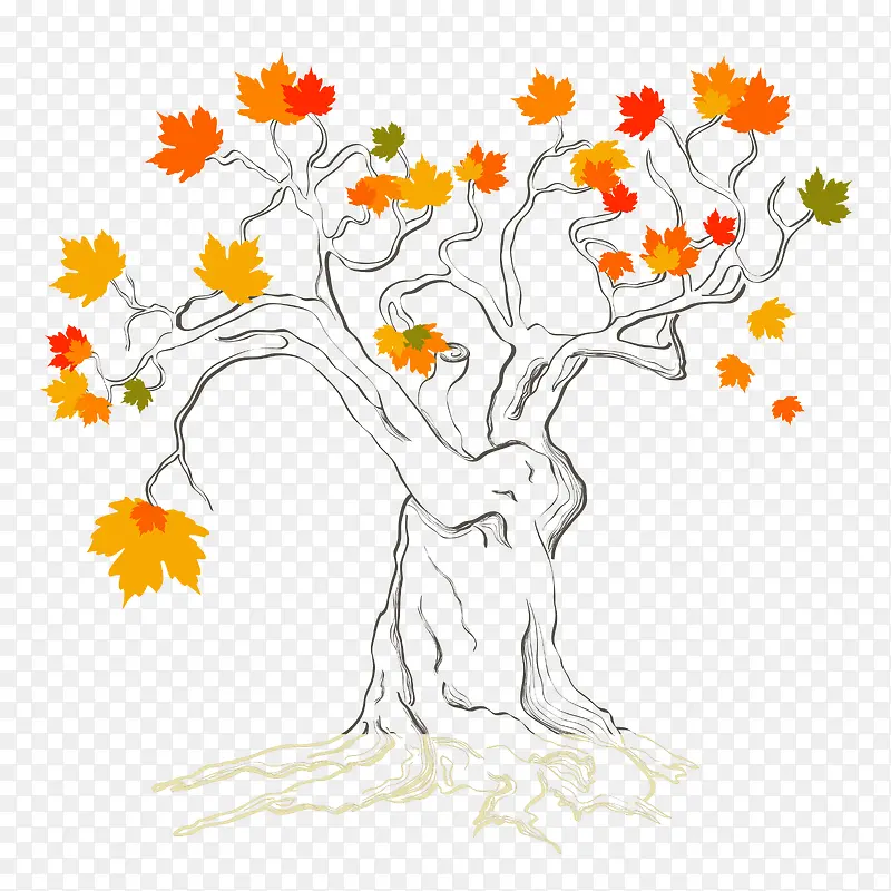 �ֻ���ľ����-������