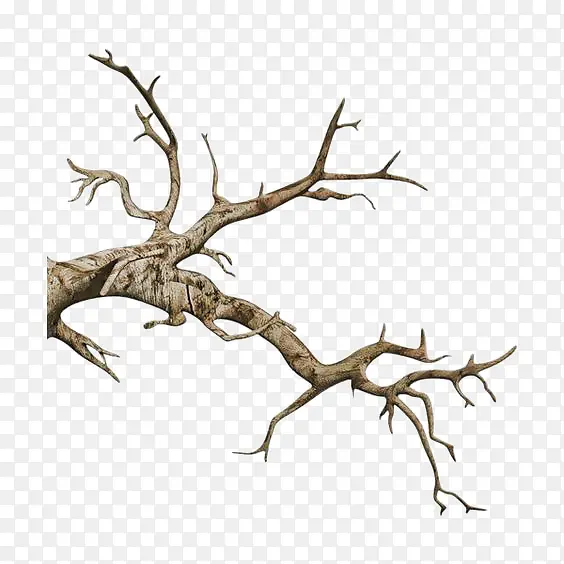 ��֦-������