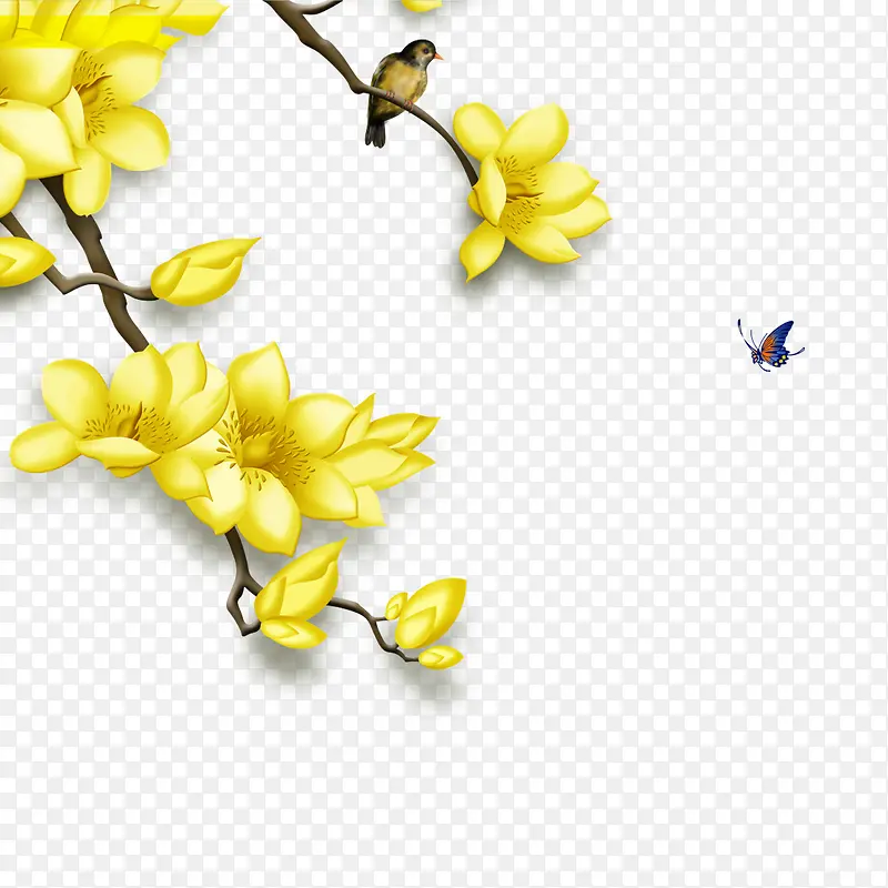 ��֦-������