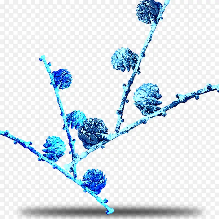 ��ѩ��֦�ɹ�-������