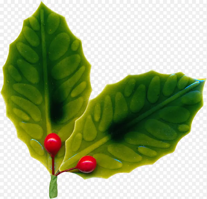 ʥ������Ҷװ���ز�-������