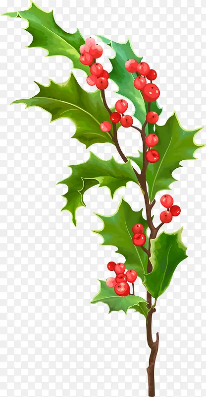 ʸ��ʥ����Ҷ-������