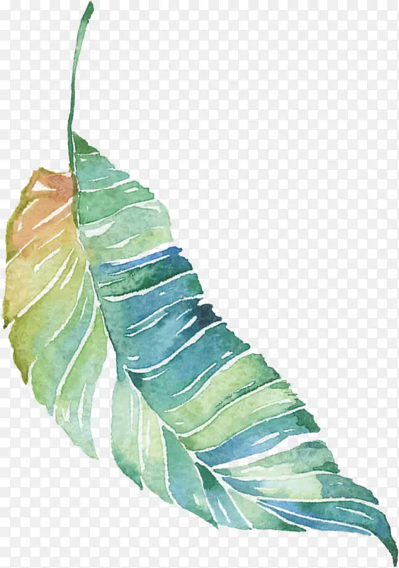 ��ɫ��Ҷ-������