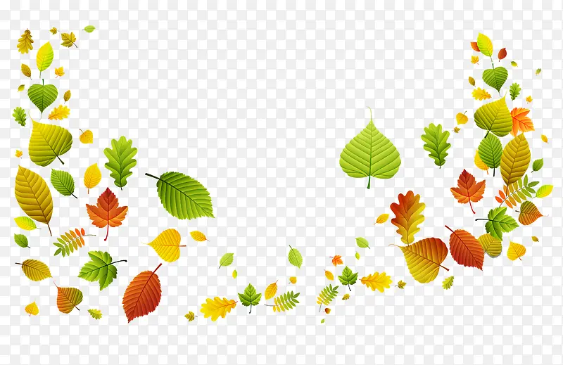 ��ɫ����Ҷ-������