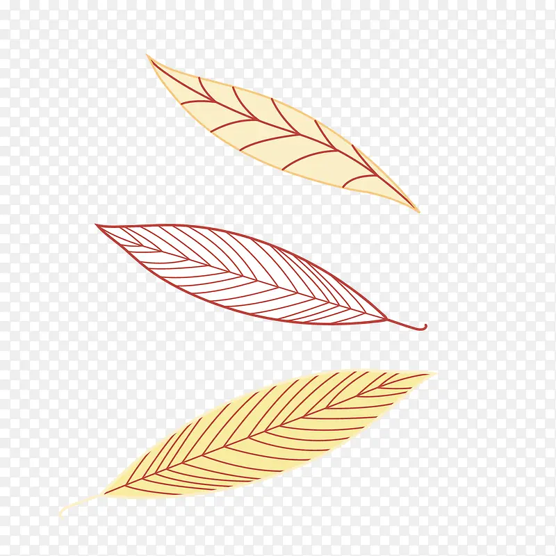 ʸ����ɫ��Ҷ-������