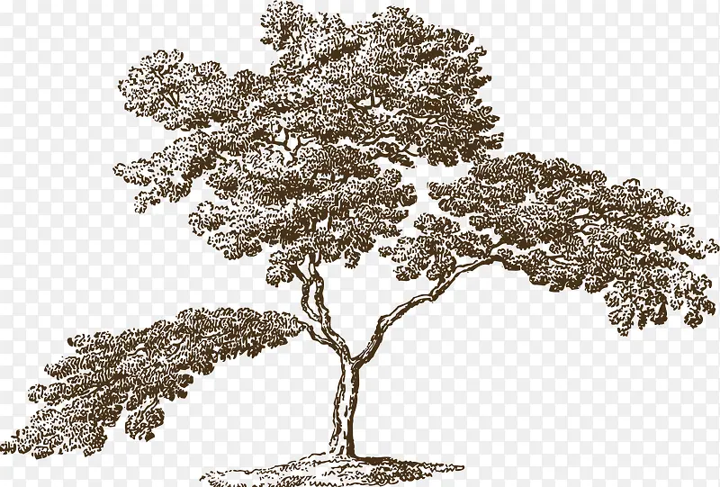 �Ͱ�������-������