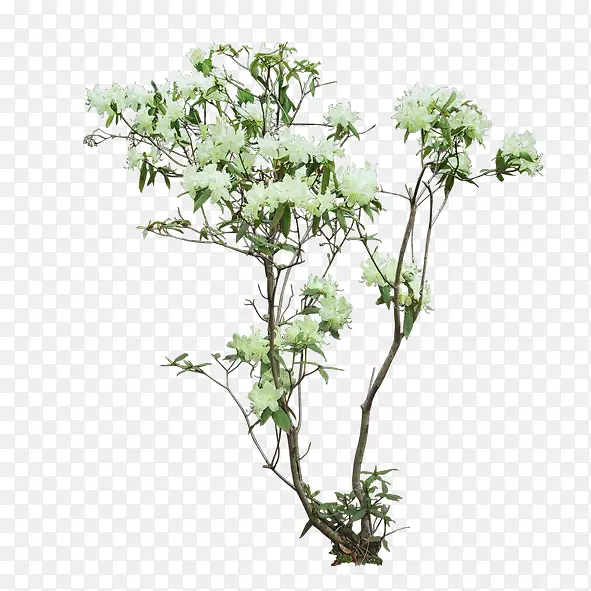 ����-������