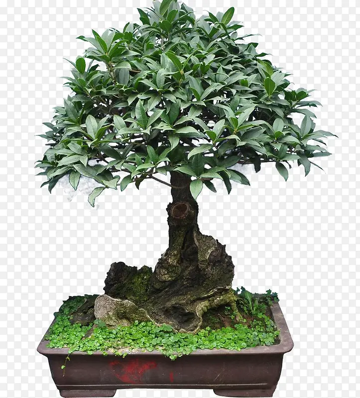 �����辰-������