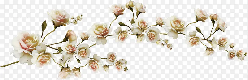 Ư����÷-������