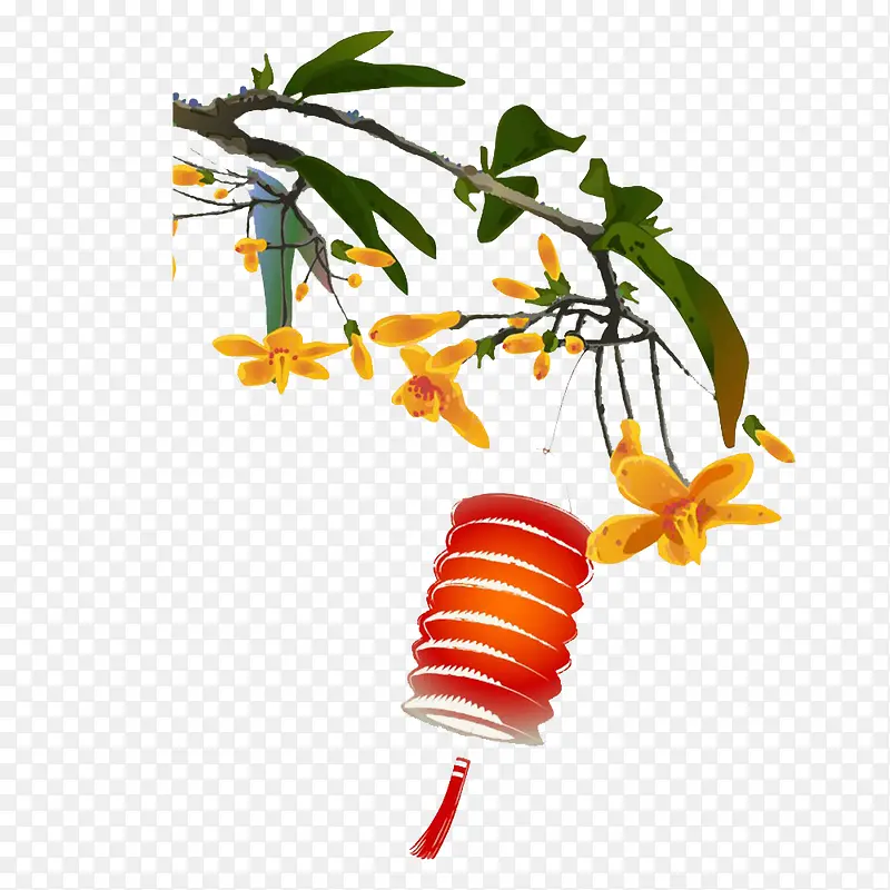 ��֦�ϵĵ���ͼ��-������