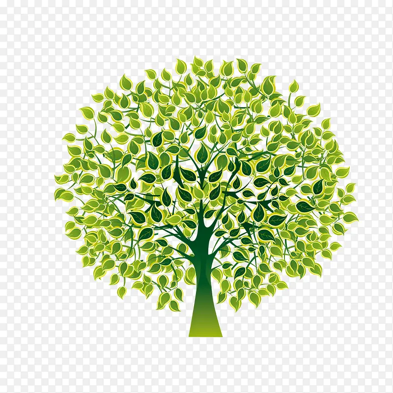 ïʢ����-������