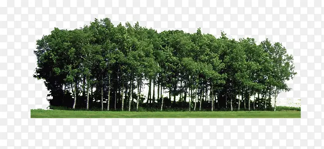 ����-������