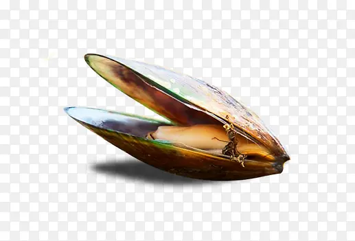 ��Ʒʵ���ſ��Ļ���С��-������