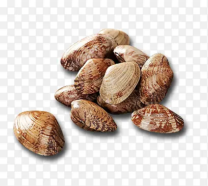 ʳ�ﺣ�ʻ���ͼ-������