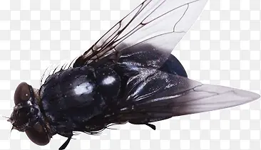 ��ɫ����֪��-������