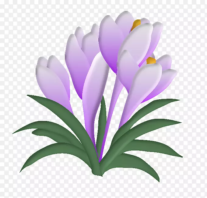 ����ֲ���ͼ��ѧԪ��-���컨-������