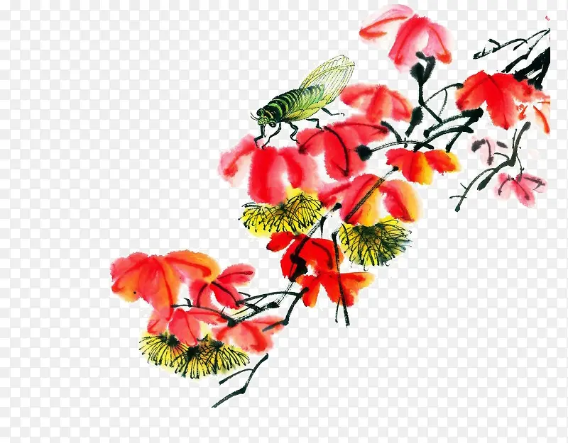 ��֦�ϵ�֪��-������