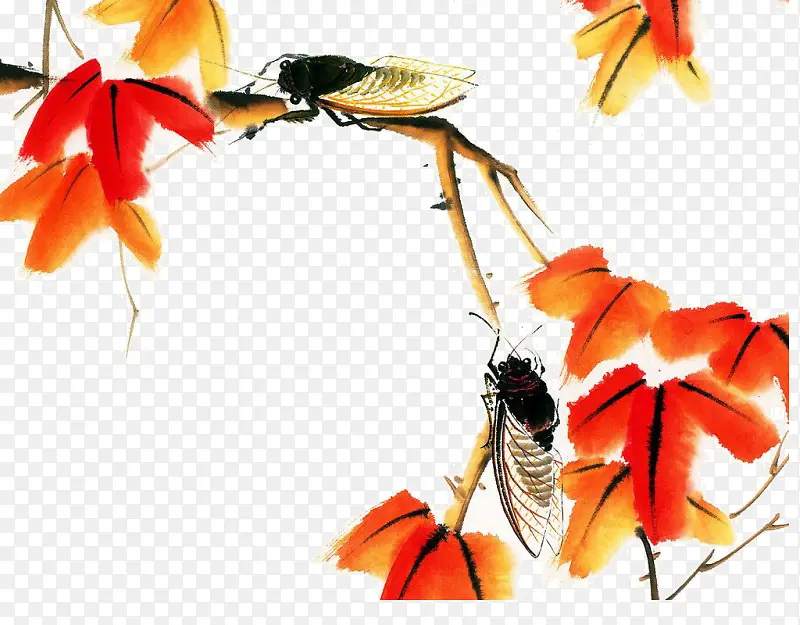 ��֦�ϵ�֪��-������