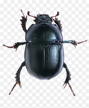 ֪��-������