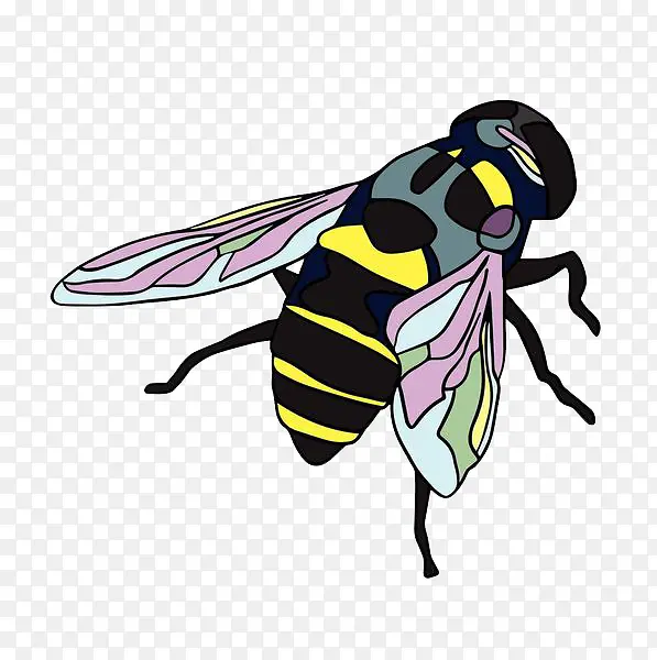 ��ɫ����Ĳ�-������