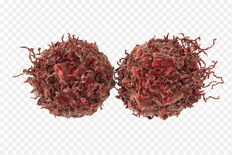 ����3D����廭-������